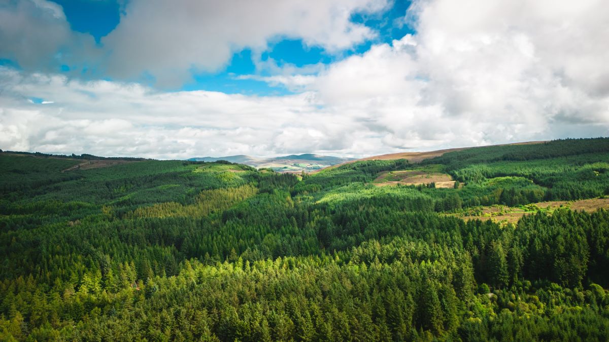 Natur vor der Haustür entdecken – Praktische Tipps